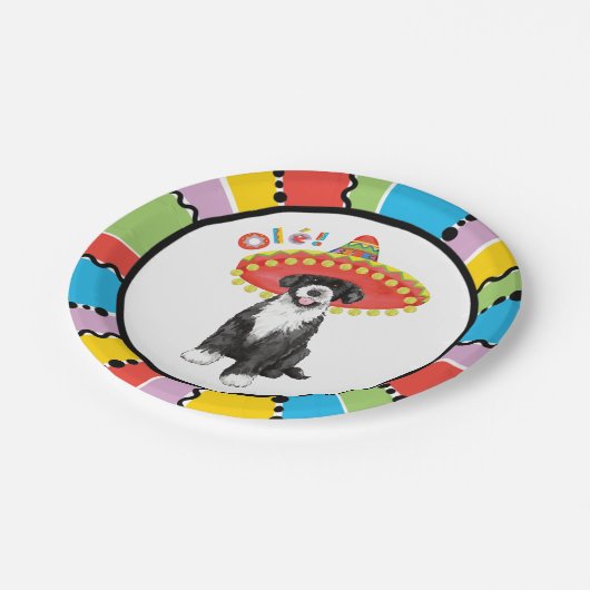 Fiesta PWD Pappteller (Schrägansicht)