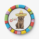 Fiesta-Schokoladen-Labrador Pappteller (Vorderseite)