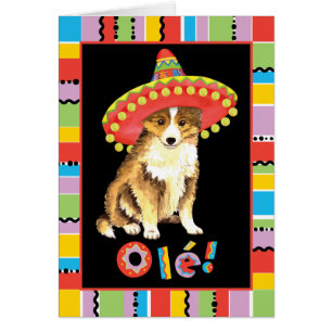 Fiesta Sheltie Card