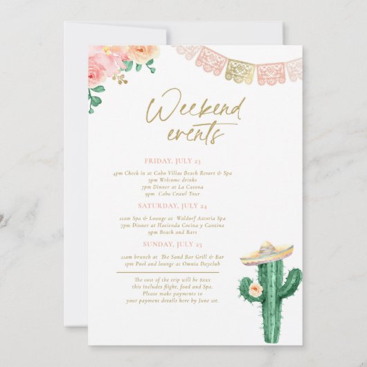 Fiesta Siesta Tequila Repeat Junggeselinnen-Abschi Einladung (Rückseite)