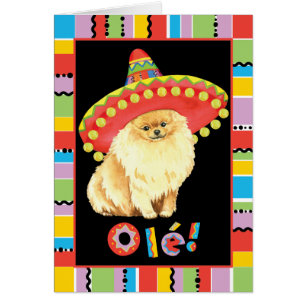 Fiesta Spitz Greetimg Card