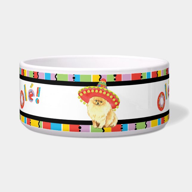 Fiesta Spitz Pet Napf (Links)