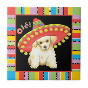 Fiesta Toy Poodle Fliese