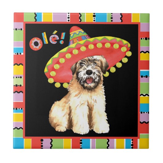 Fiesta Wheaten Fliese (Vorderseite)