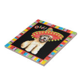 Fiesta Wheaten Fliese (Seite)