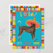 Fiesta Xolo Einladung (Vorne/Hinten)