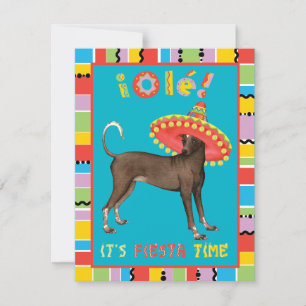 Fiesta Xolo Einladung