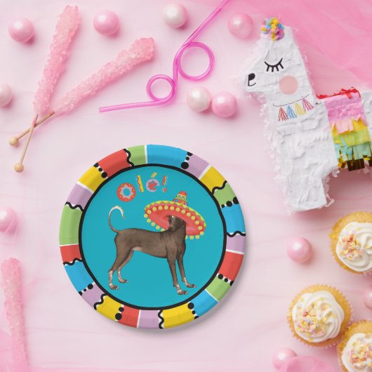 Fiesta Xolo Pappteller (Party)