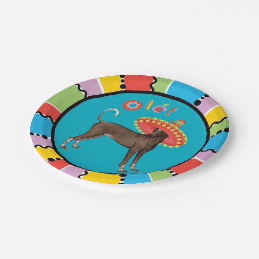 Fiesta Xolo Pappteller (Schrägansicht)