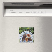 Fieus Magnet (In Situ (Geschirrspüler))