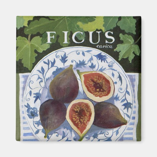 Fieus Magnet (Vorne)