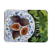 Fieus Magnet (Horizontal)