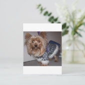 "Fifi" die Yorkie! Postkarte (Stehend Vorderseite)