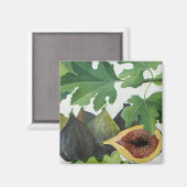 Fig. 2013 magnet (Vorderseite/Rückseite)