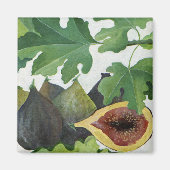 Fig. 2013 magnet (Vorne)