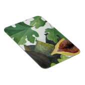 Fig. 2013 magnet (Rechte Seite)