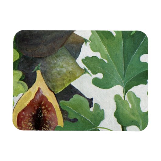 Fig. 2013 magnet (Horizontal)