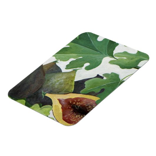 Fig. 2013 magnet (Linke Seite)