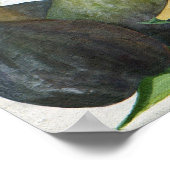 Fig. 2013 poster (Ecke)