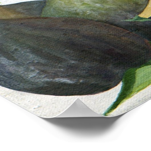 Fig. 2013 poster (Ecke)