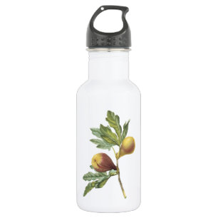 fig(Ficus violacea) von Redouté Trinkflasche