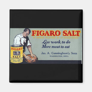Figaro Salz Anzeige Washington,IA Magnet