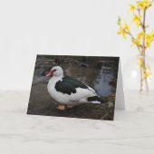 Figgy Karte (Gelbe Blume)