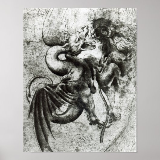 Fight between a Dragon and a Lion Poster (Vorne)