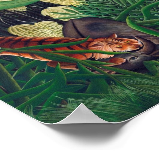 Fight Between A Tiger And A Buffalo Henri Rousseau Poster (Ecke)