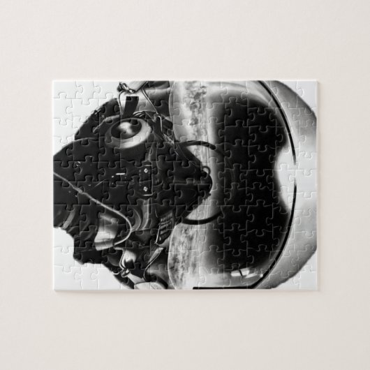 Fighter Pilot Helmet Puzzle (Horizontal)