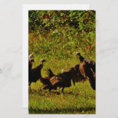 Fighting Wild Turkeys in the Smoky Mountains Briefpapier (Vorne/Hinten)