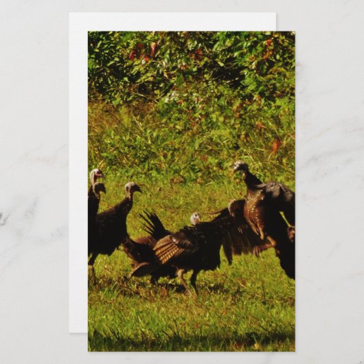 Fighting Wild Turkeys in the Smoky Mountains Briefpapier (Vorne/Hinten)