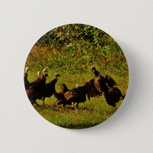 Fighting Wild Turkeys in the Smoky Mountains Button (Vorderseite)