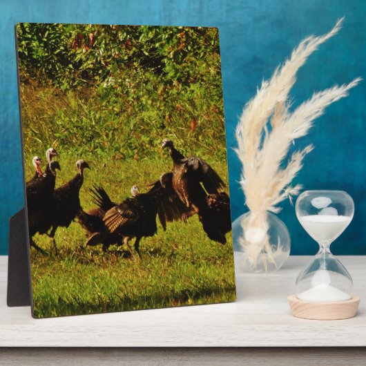 Fighting Wild Turkeys in the Smoky Mountains Fotoplatte (Seite)