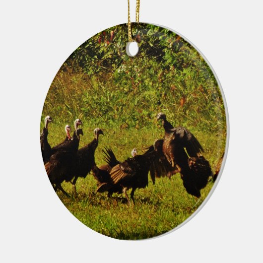 Fighting Wild Turkeys in the Smoky Mountains Keramik Ornament (Links)