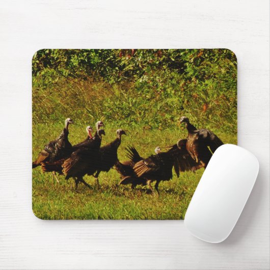 Fighting Wild Turkeys in the Smoky Mountains Mousepad (Mit Mouse)