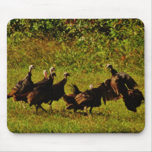 Fighting Wild Turkeys in the Smoky Mountains Mousepad