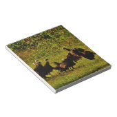 Fighting Wild Turkeys in the Smoky Mountains Notizblock (angewinkelt)