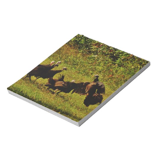 Fighting Wild Turkeys in the Smoky Mountains Notizblock (Rotiert)