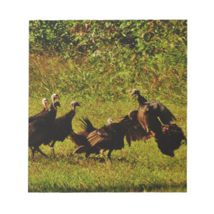 Fighting Wild Turkeys in the Smoky Mountains Notizblock