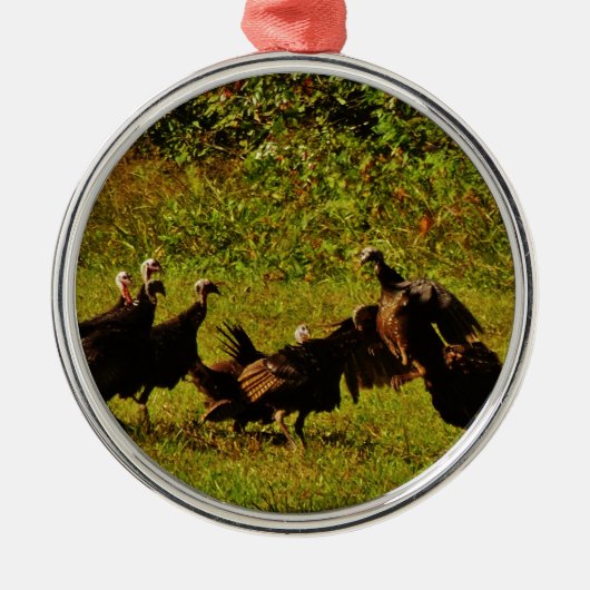 Fighting Wild Turkeys in the Smoky Mountains Ornament Aus Metall (Vorne)