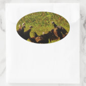 Fighting Wild Turkeys in the Smoky Mountains Ovaler Aufkleber (Tasche)