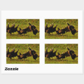 Fighting Wild Turkeys in the Smoky Mountains Rechteckiger Aufkleber (Blatt)