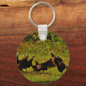 Fighting Wild Turkeys in the Smoky Mountains Schlüsselanhänger (Vorderseite)