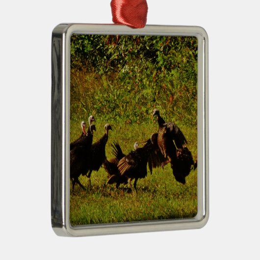 Fighting Wild Turkeys in the Smoky Mountains Silbernes Ornament (Rechts)