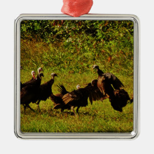 Fighting Wild Turkeys in the Smoky Mountains Silbernes Ornament