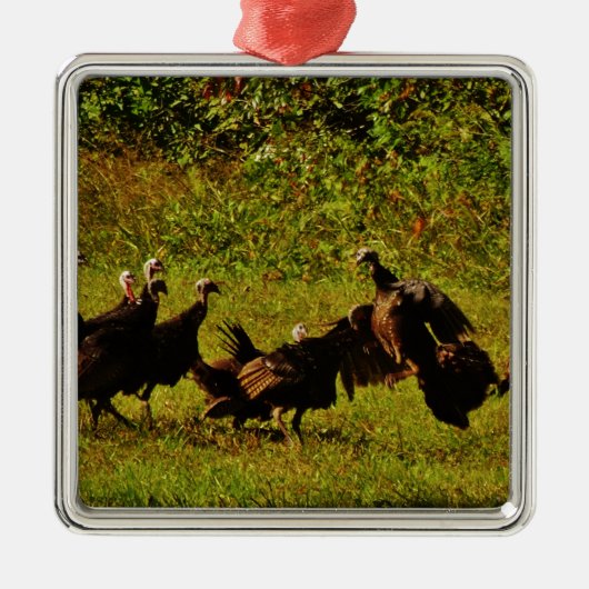 Fighting Wild Turkeys in the Smoky Mountains Silbernes Ornament (Vorne)