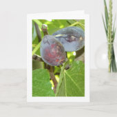 Figs on Tree Portrait Karte (Vorderseite)