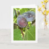 Figs on Tree Portrait Karte (Gelbe Blume)