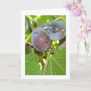 Figs on Tree Portrait Karte